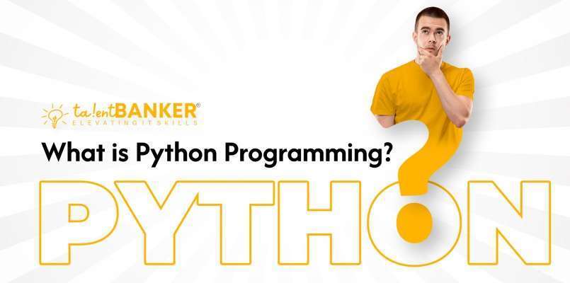 What is python programming?