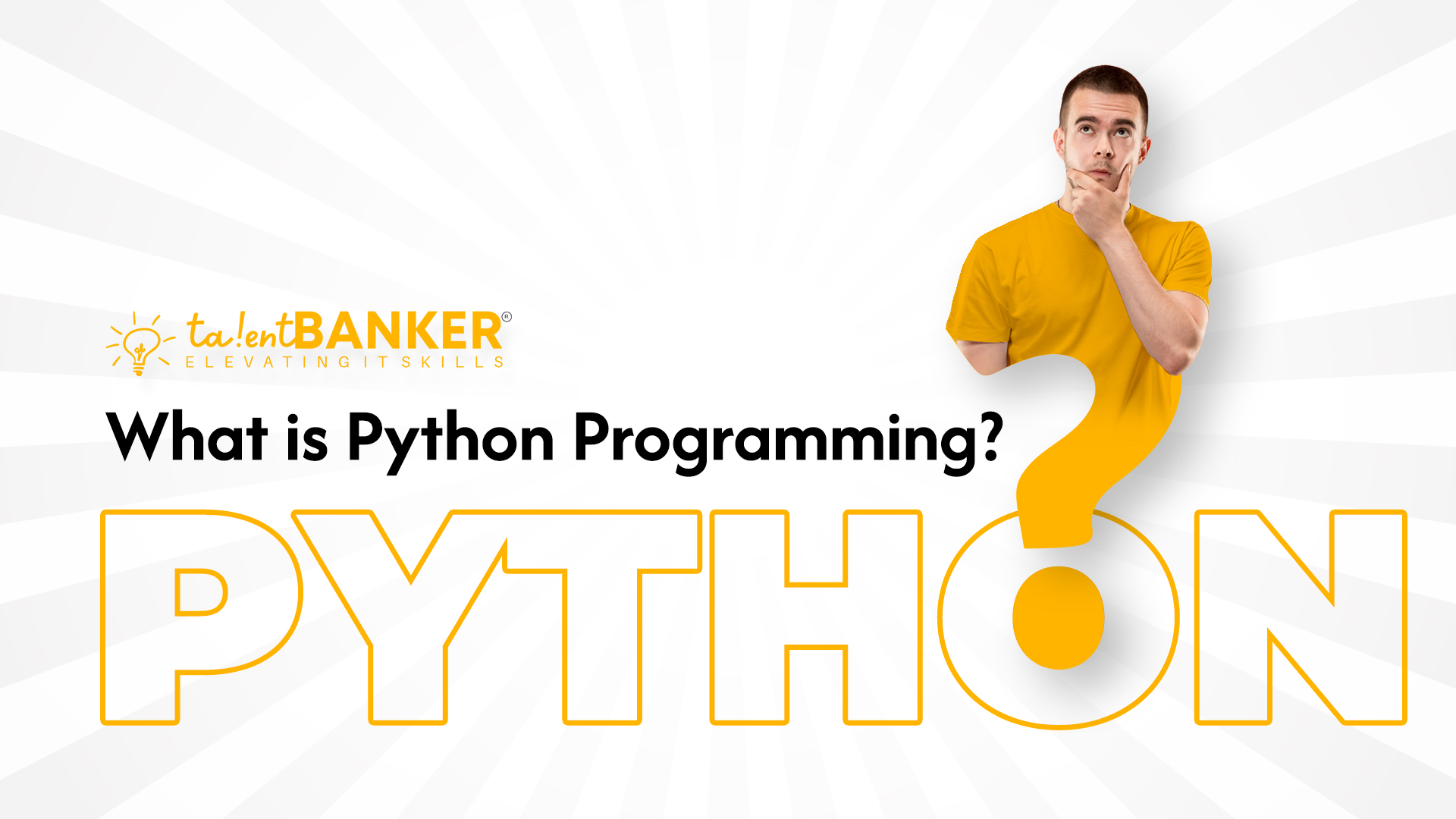 What is python programming?